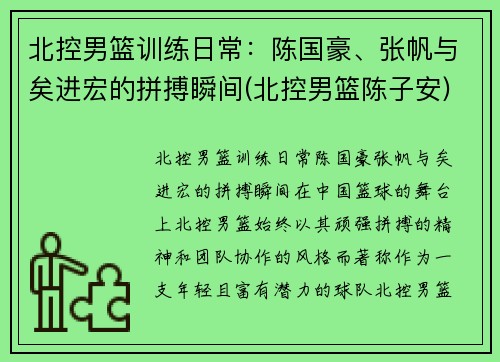 北控男篮训练日常：陈国豪、张帆与矣进宏的拼搏瞬间(北控男篮陈子安)