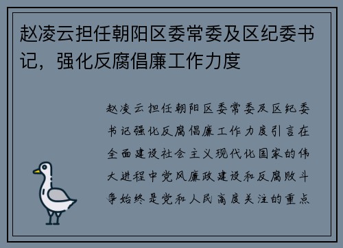赵凌云担任朝阳区委常委及区纪委书记，强化反腐倡廉工作力度