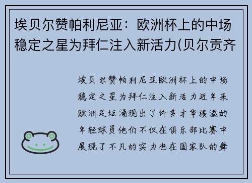 埃贝尔赞帕利尼亚：欧洲杯上的中场稳定之星为拜仁注入新活力(贝尔贡齐评价帕瓦罗蒂)
